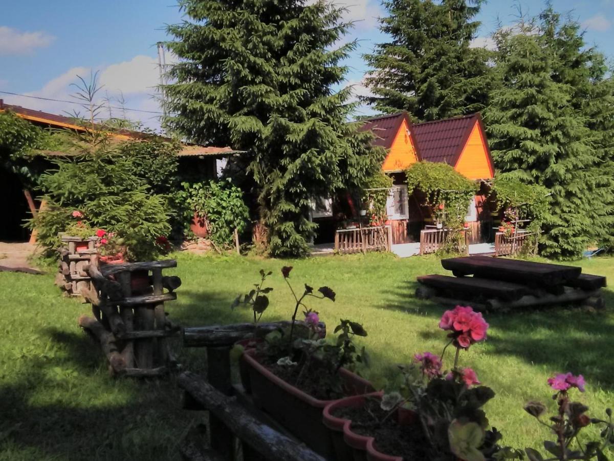 Casa Paltin Vila Si Cabane Poiana Stampei Exterior photo