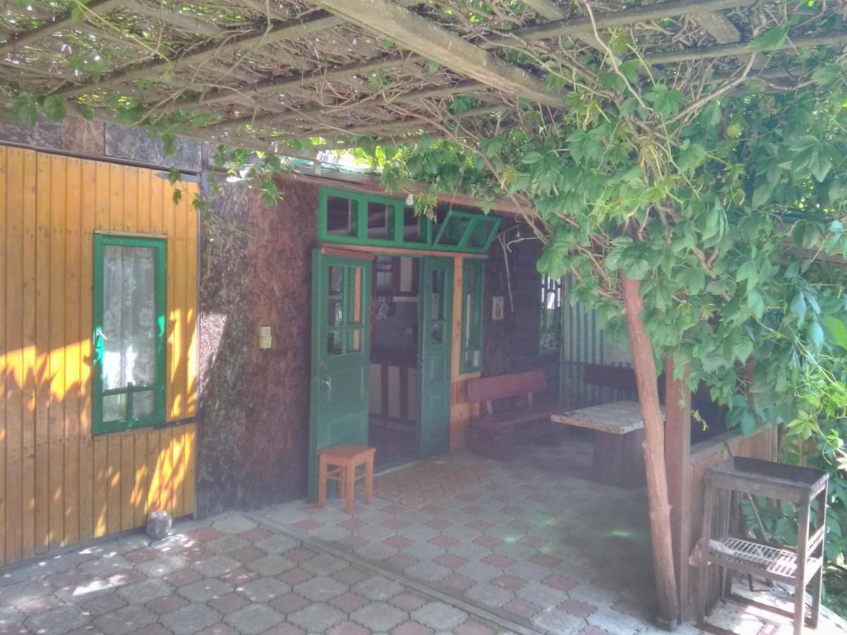 Casa Paltin Vila Si Cabane Poiana Stampei Exterior photo