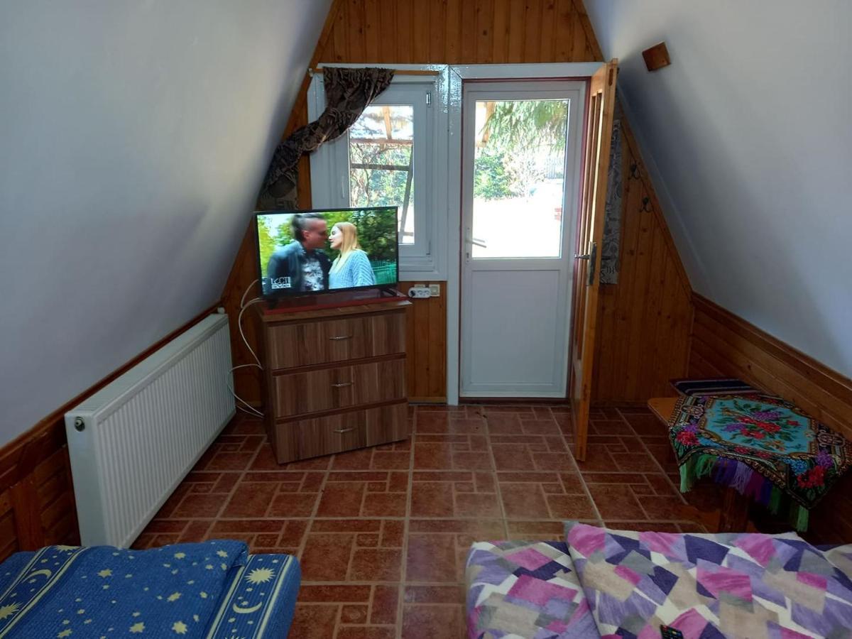 Casa Paltin Vila Si Cabane Poiana Stampei Exterior photo