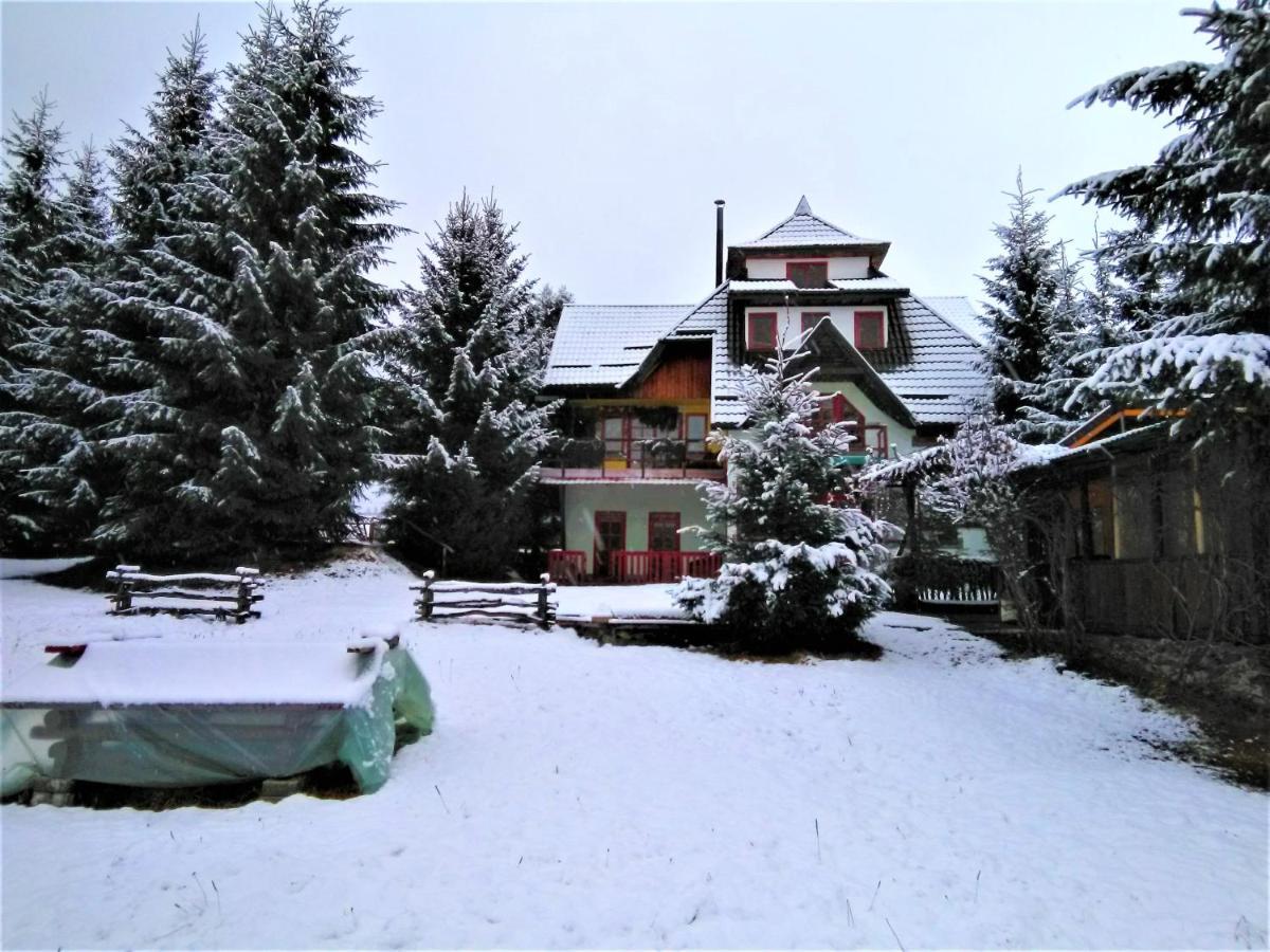 Casa Paltin Vila Si Cabane Poiana Stampei Exterior photo