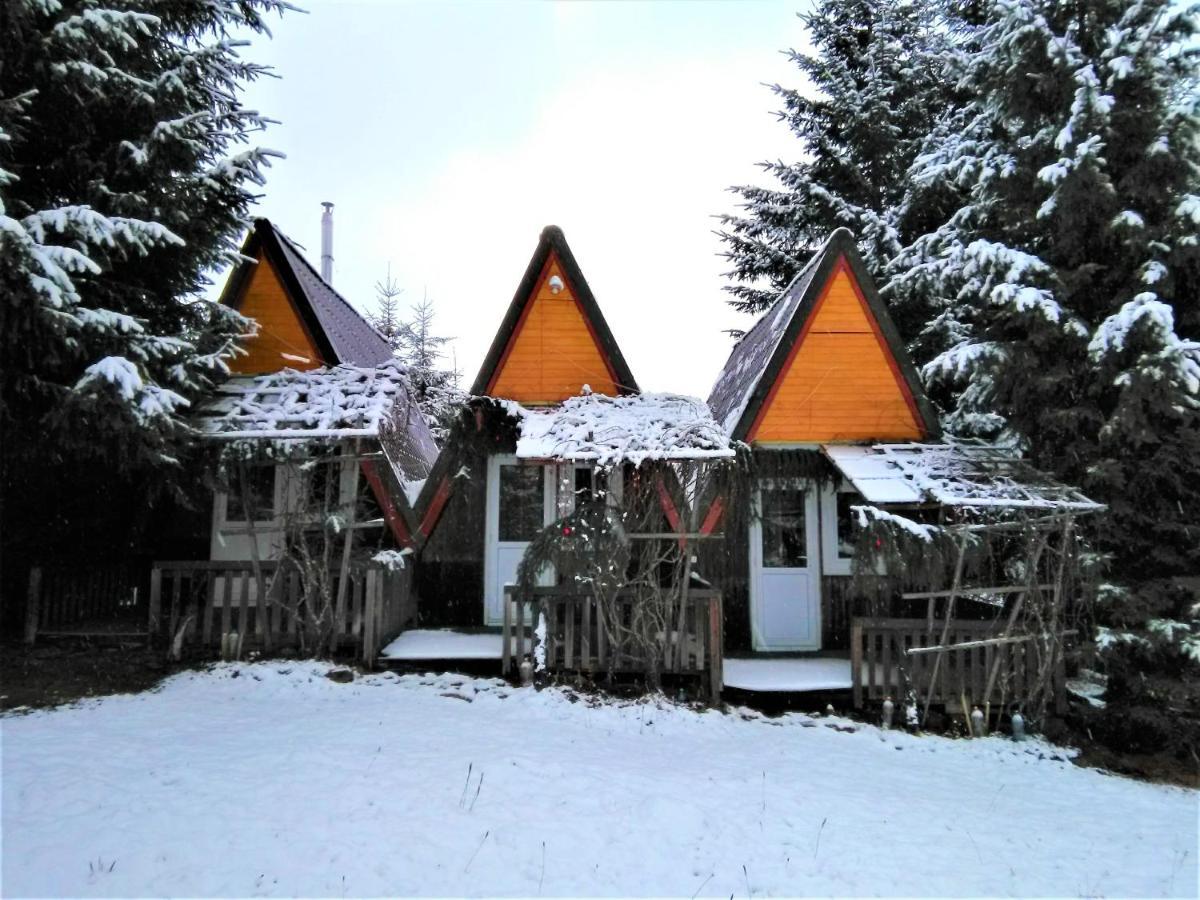 Casa Paltin Vila Si Cabane Poiana Stampei Exterior photo